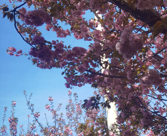 长期焦虑的人,往往都有一个共同的思维习惯 长期焦虑的人,往往都有一个共同的思维习惯