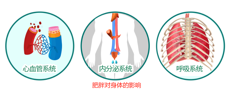 为什么体重管理成为国家关注的重点？