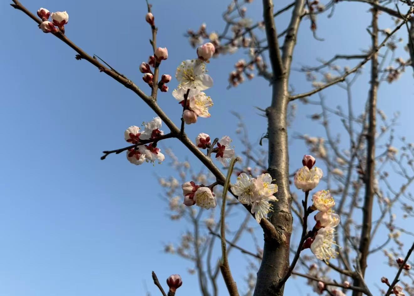 焦虑与失眠——现代人的“隐形健康负担” 焦虑与失眠——现代人的“隐形健康负担”