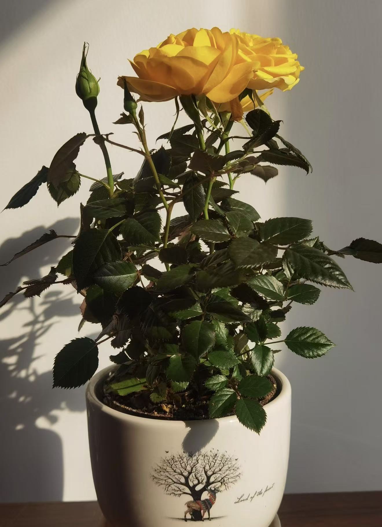 心情不好就是抑郁症？精神科医生帮你分清“抑郁”与“抑郁症”