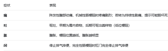 急性肠梗阻：当肠道“堵车”了