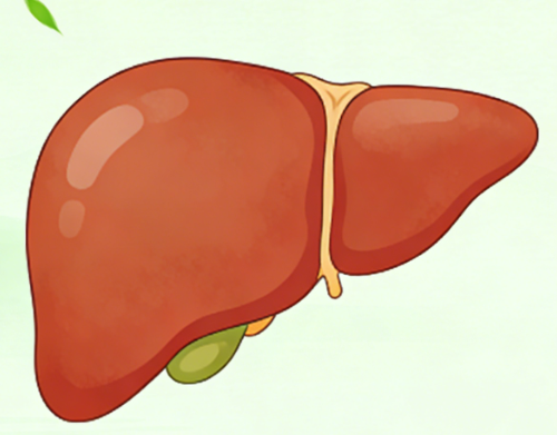 肝硬化患者春季养肝，记住这几点