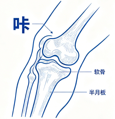 膝关节“咔咔响”是怎么回事？骨科医生告诉你哪些需要担心