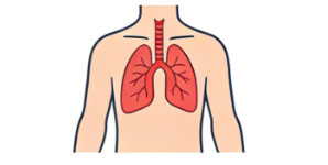 慢性阻塞性肺疾病——吸烟者的“隐形呼吸杀手”