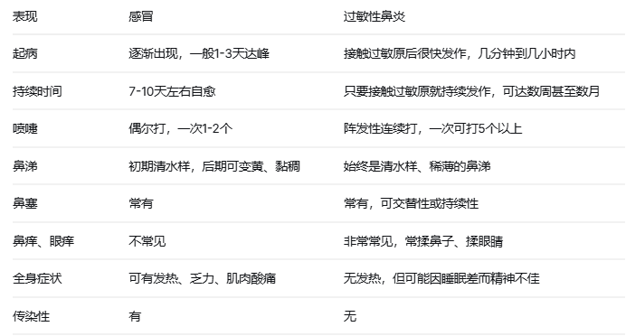 过敏性鼻炎：不是“小毛病”，也别硬扛