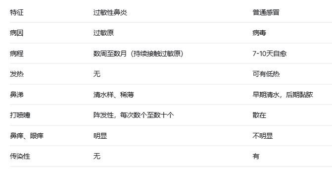 鼻炎的分类、识别与常见误区
