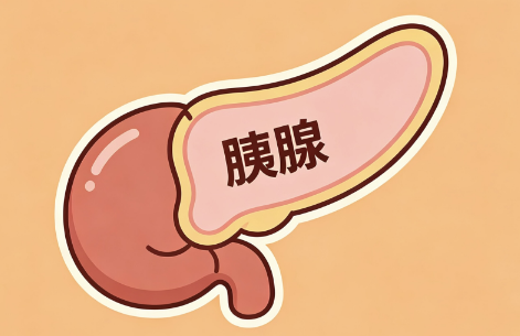 警惕!胰腺炎不是小毛病——别把“要命”的腹痛当成胃痛 警惕!胰腺炎不是小毛病——别把“要命”的腹痛当成胃痛